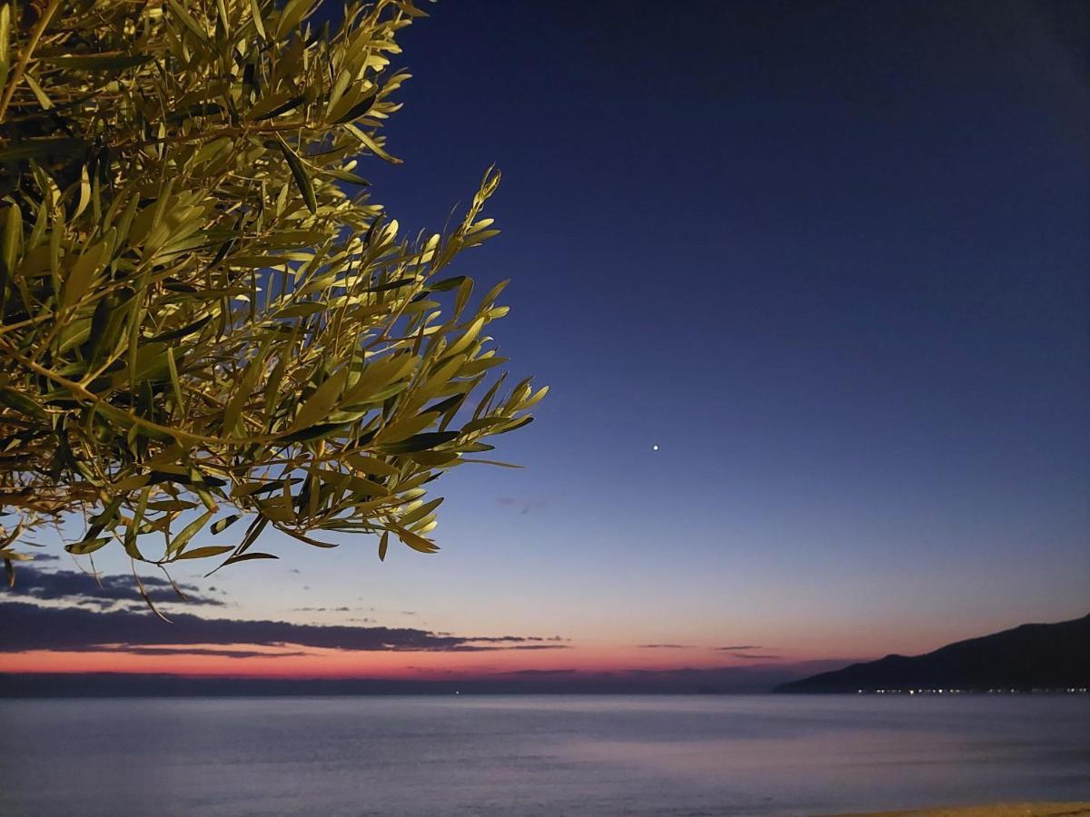 Villa Sevi Βρασνά Εξωτερικό φωτογραφία