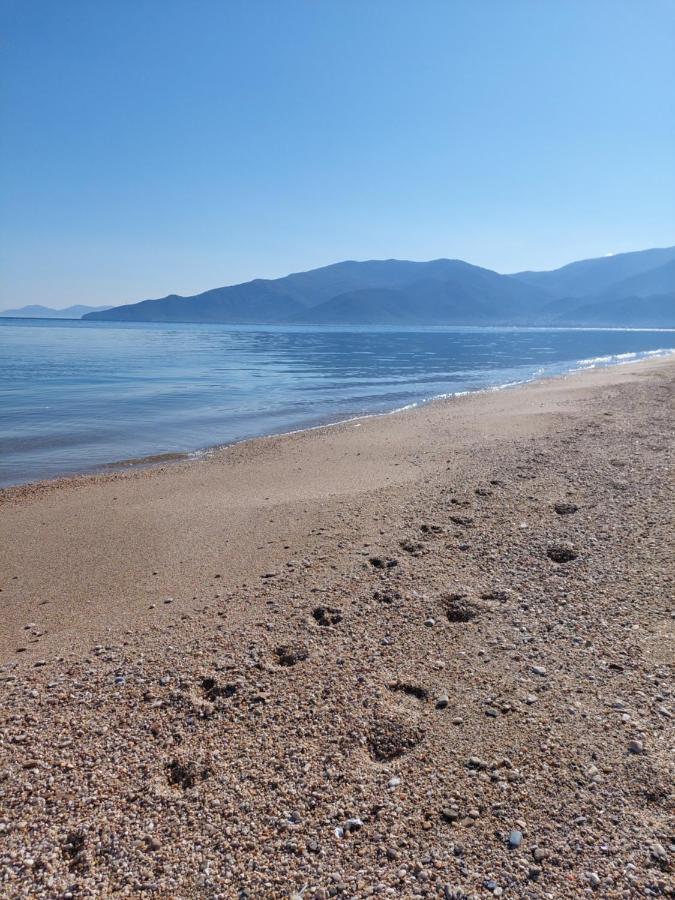 Villa Sevi Βρασνά Εξωτερικό φωτογραφία