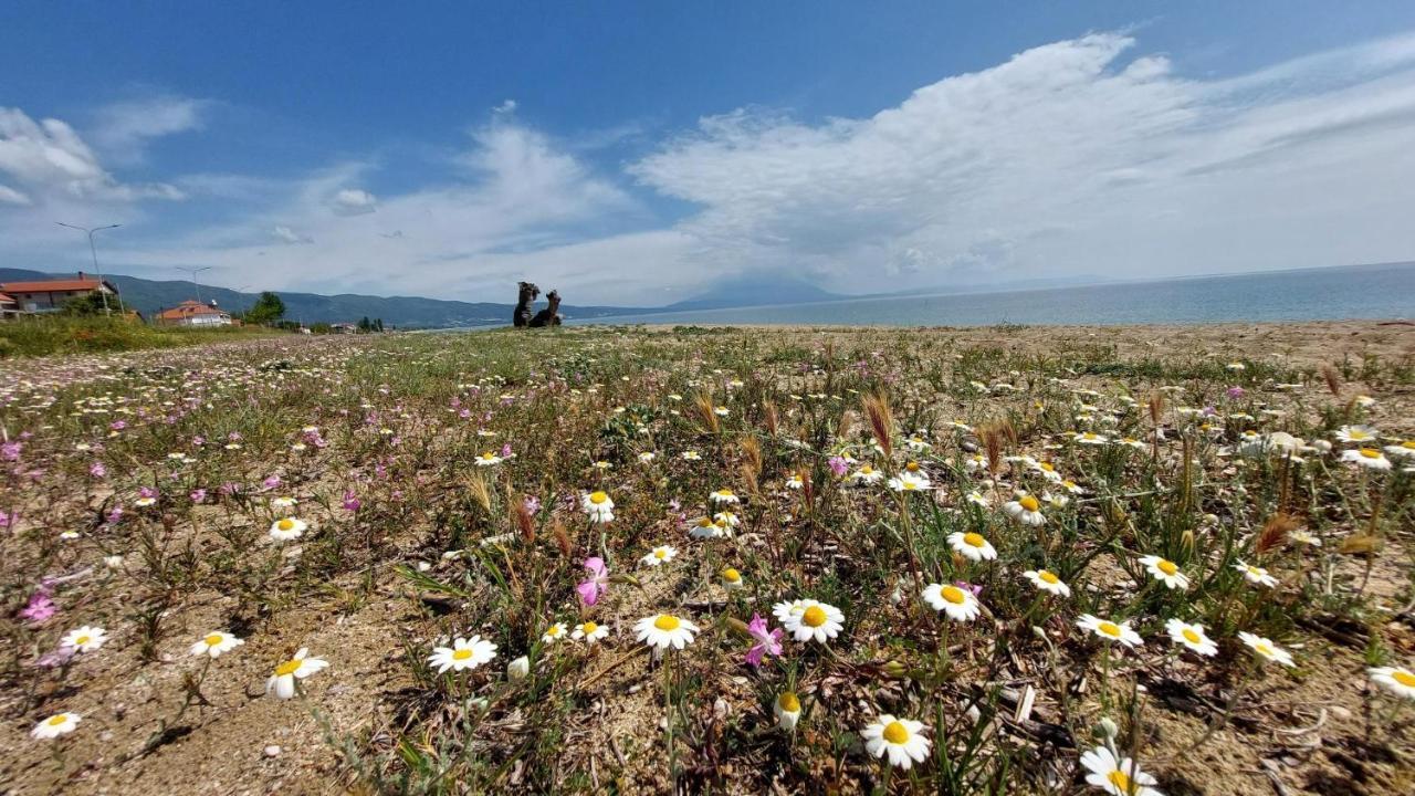 Villa Sevi Βρασνά Εξωτερικό φωτογραφία