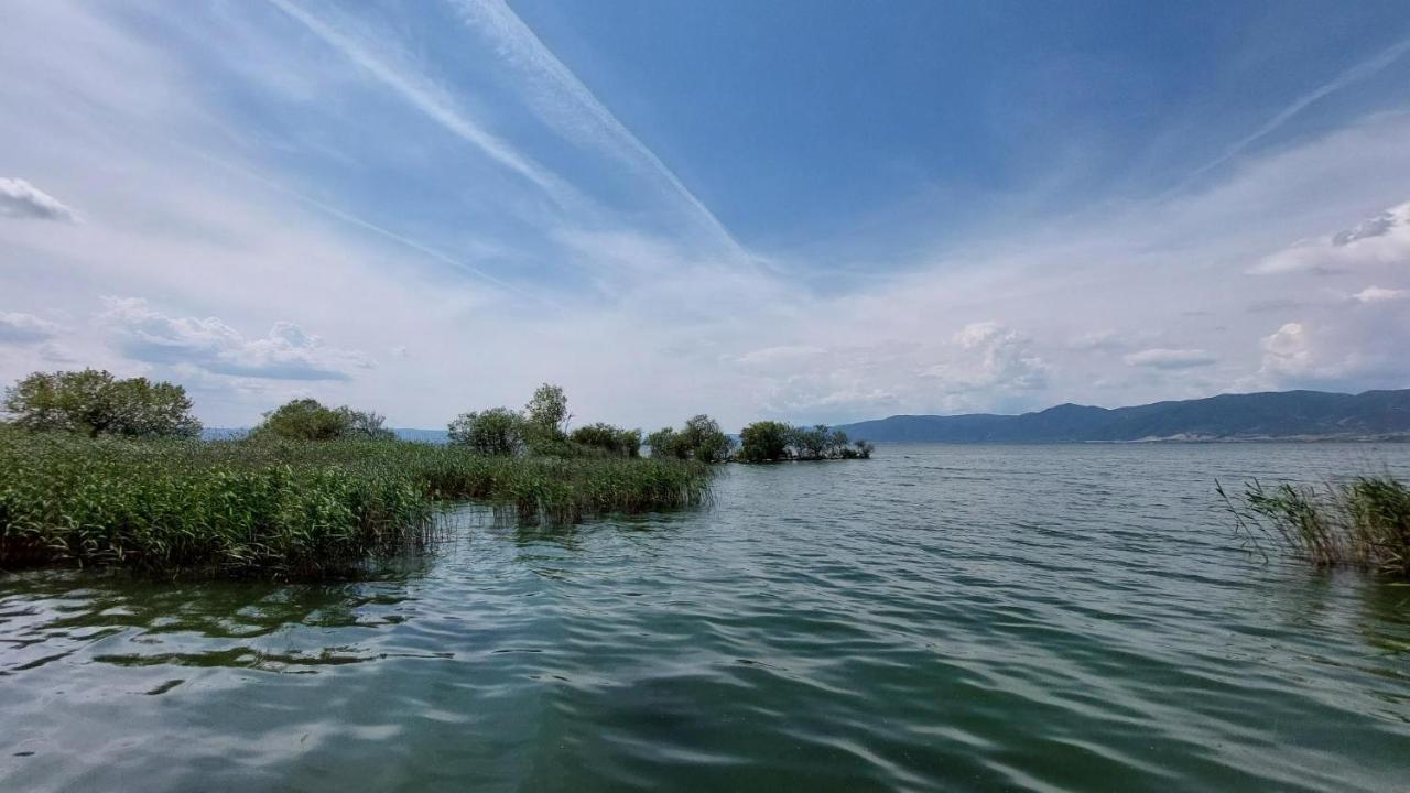 Villa Sevi Βρασνά Εξωτερικό φωτογραφία